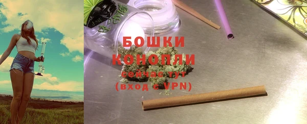 хмурый Бородино