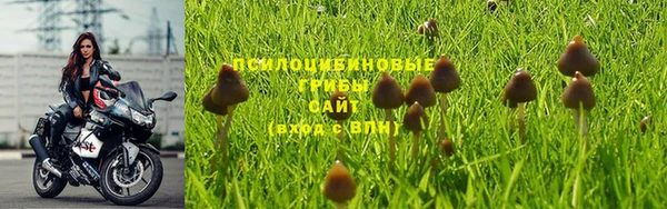 синтетический гашиш Богородицк