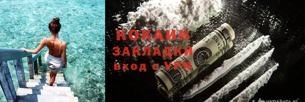 хмурый Бородино