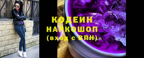 хмурый Бородино