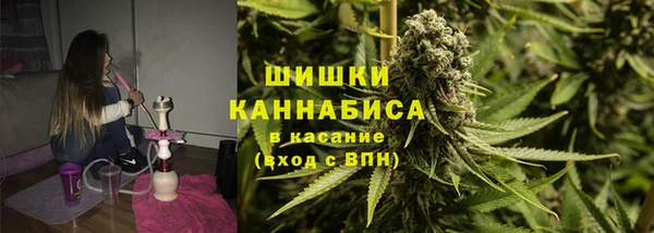 дмт Богородск
