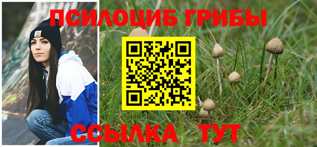 Псилоцибиновые грибы Magic Shrooms Воркута