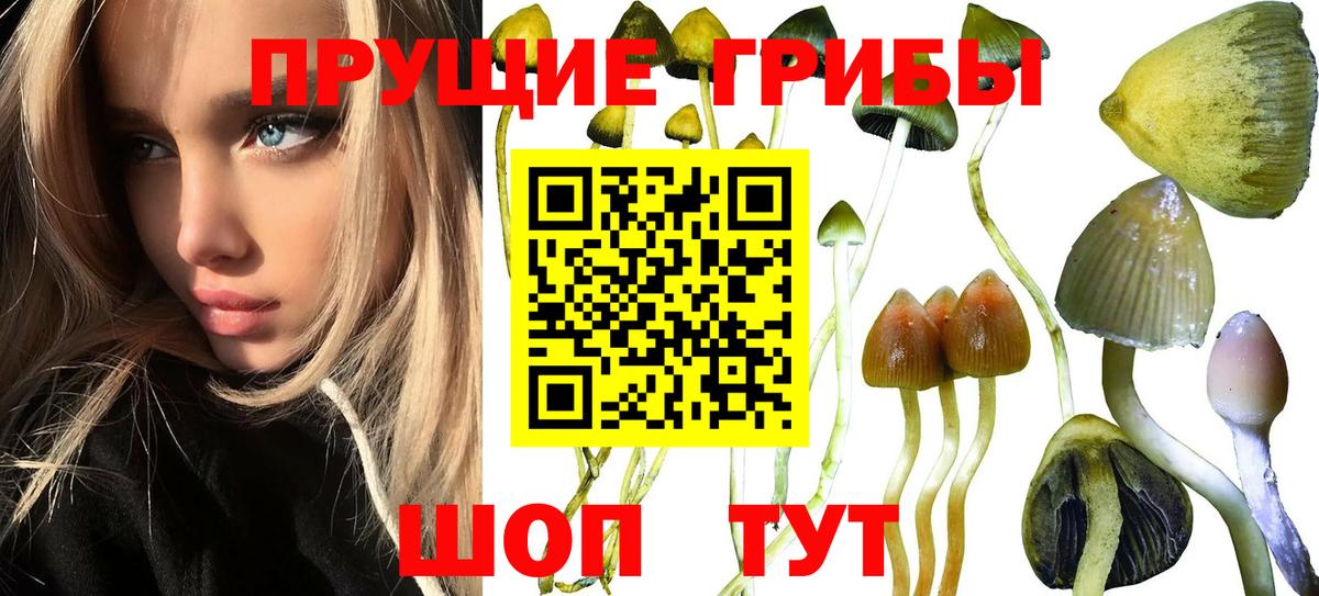 Воркута  где купить наркотик  Вход с VPN  Псилоцибиновые грибы Cubensis  Псилоцибиновые грибы мухоморы 